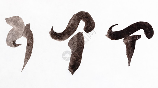 以sumiesuibokuga风格suibokuga教学由白纸上黑水颜色绘制的蘑菇手工画成模版图像背景图片