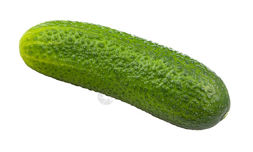 白色背景上孤立的成熟绿黄瓜背景图片