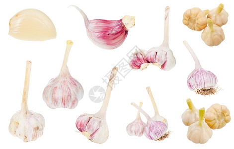 各种新鲜和泡菜大蒜在白色背景上隔离背景图片