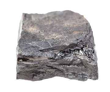 地质采集的天然矿物样本查封白色背景隔离的粗炭煤页岩图片