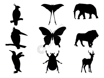 犀牛甲虫鸟类昆虫和野生动物剪影插画