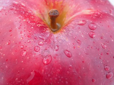 红色苹果以白背景的滴子填成红色苹果Name图片