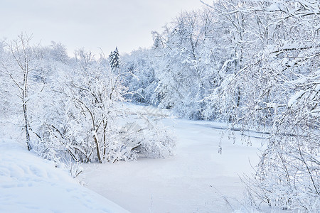 冰冻的河流雪美丽冬天图片