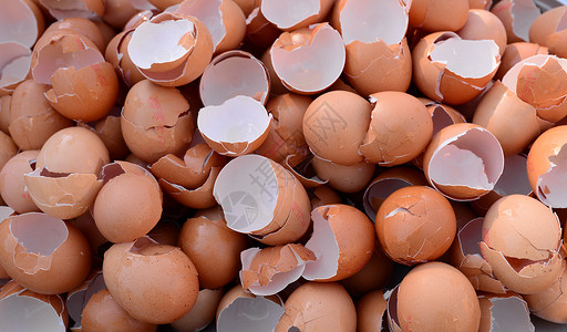 浪费食物贝壳许多破碎的蛋背景纹理模式背景图片