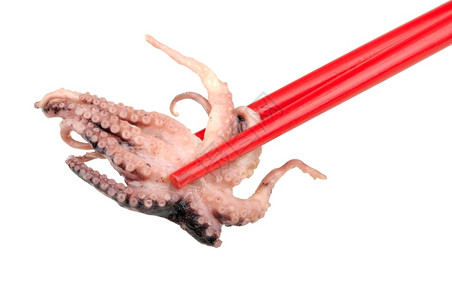 准备好的红色中章鱼孤立在白色背景上的图片