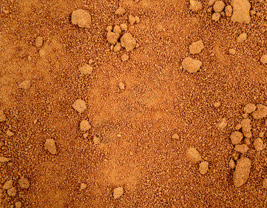 食物甜的棕椰子糖褐有机食品布料的图片