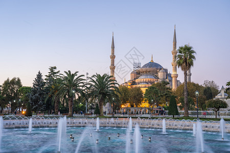 天土耳其伊斯坦布尔市苏丹艾哈迈德清真寺城市火鸡背景