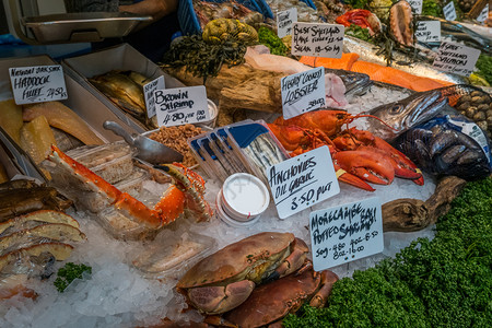 生蚝新鲜的海市场冰面上的新鲜鱼和其他海产食品图片
