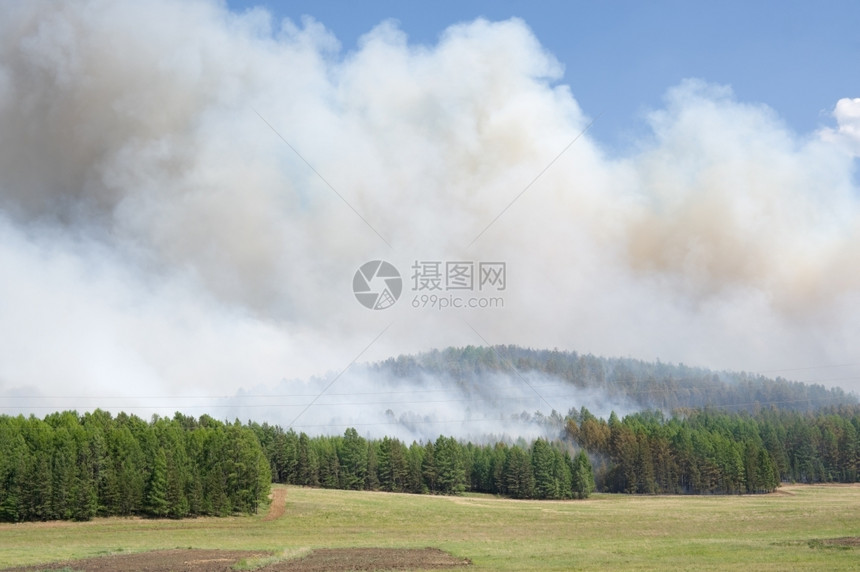 森林火灾上方烟雾云抽多于夏天图片