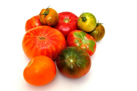 浅色背景上不同种类的传宝西红柿多彩番茄色的一种有背景图片