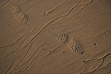 雅各布斯简介海滩湿沙中的脚印背景图片