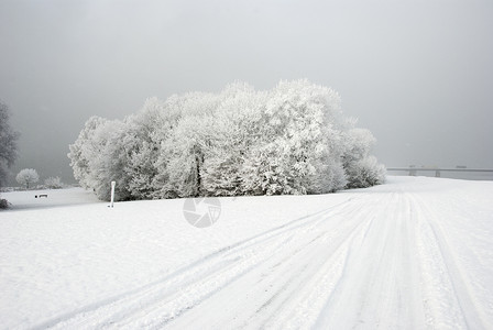 冰雪冬天景观图片