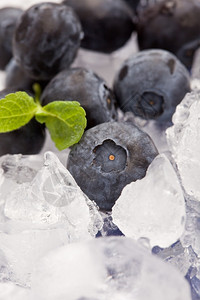 冰上蓝莓与薄荷叶的相片寒冷照树叶图片