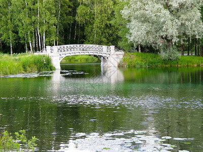 白石桥河对面绿树背景结石水湖图片