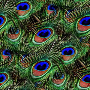 间充质干细胞无缝的彩虹色鸡孔雀羽间接缝无纹质瓷砖背景