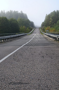 秋初清晨雾中森林和乡村大桥及农道路林立陶宛早晨薄雾图片