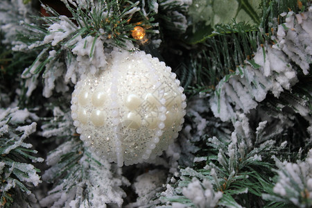 冬天的圣诞树图片