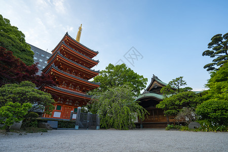 日本东长寺图片