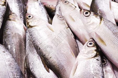 查诺斯遮目鱼卖在菲利平市场销售的鲜奶鱼背景图片