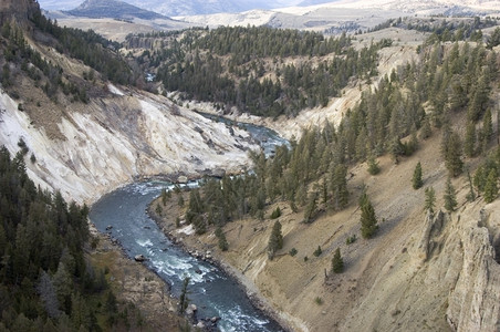 美国黄岩河怀俄明州山脉森林水图片