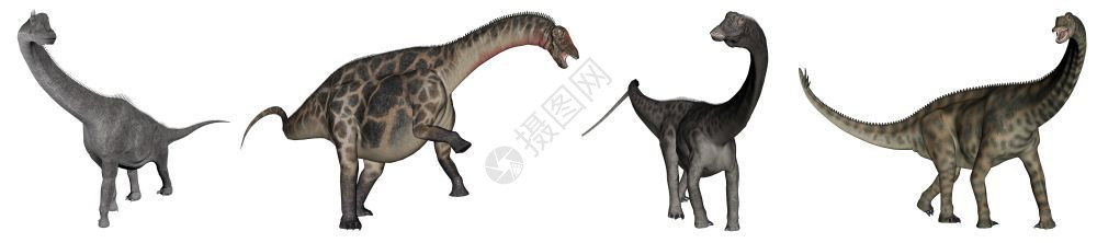 侏罗纪腕龙Jurassicauropod恐龙三维成型体蜥脚类动物图片