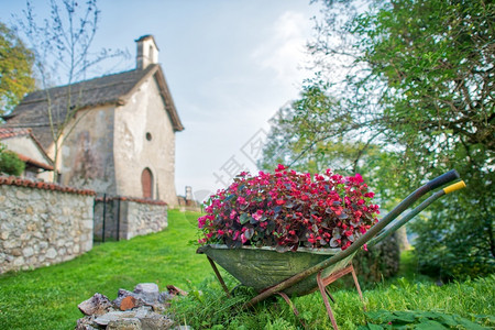 北方在意大利部的一个村庄里满是花的轮轴车自然独图片