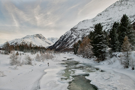 雪白色的瑞士人阿尔卑斯山上恩加丁谷的冰霜地貌图片