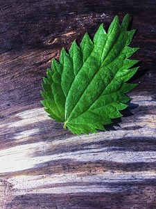 木绿色叶材艺术墙纸背景图片