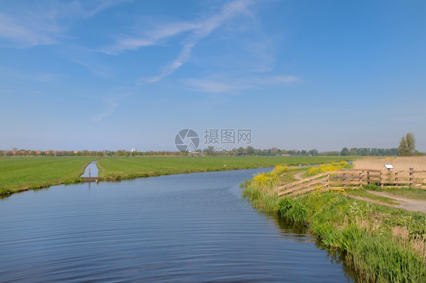 农业地平线春天典型的荷兰风景有沟渠和草地图片