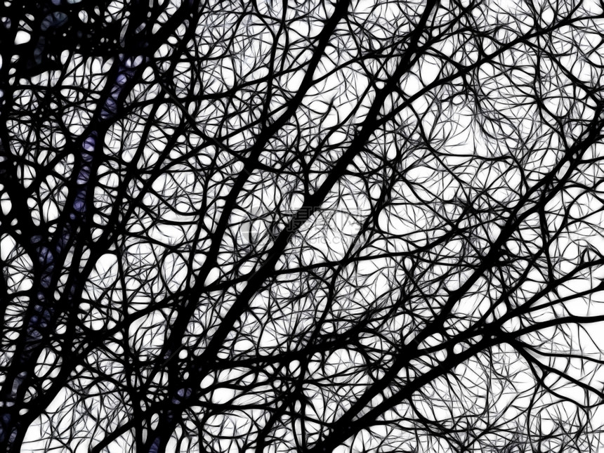 寒冷的艺术品冬季赤树分支插图Bree树枝艺术图片