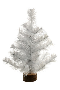 维斯尼诺夫圣诞毛树皮庆祝的图片