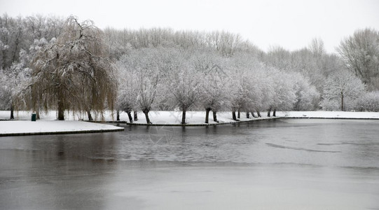 冬天公园在寒的豪宅里树木上下雪冰冷的水景观寒背景图片