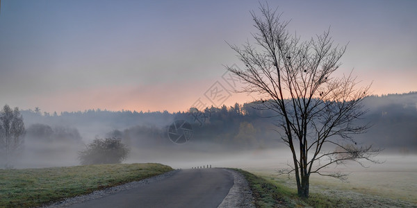 秋天早晨晨雾笼罩图片
