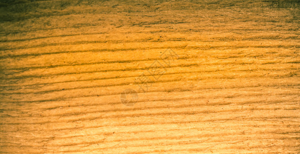 木板以自然形态为背景的木质模式地背景图片