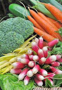 营养健康自然萝卜和胡其他蔬菜图片