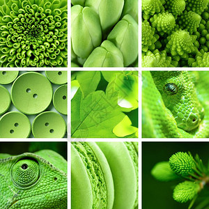 质地背景和纹理合成图像绿色对象拼贴背景和纹理拼贴合成的食物图片