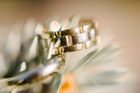 精美礼结订婚礼结戒指近身的宏观拍摄关闭婚环新郎娘的戒指圆形设计图片