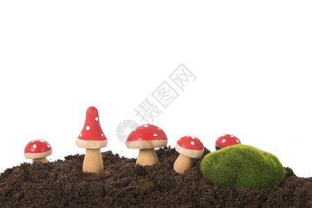 白色的不同装饰用红色木蘑菇和白点黑色的图片