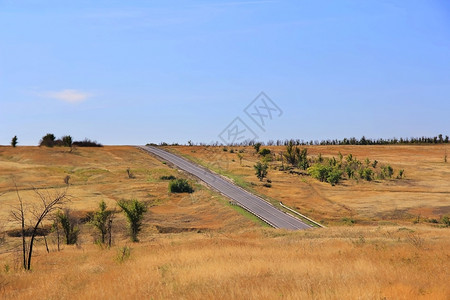 自然场地夏季美丽的风景有道路和峡谷夏天图片