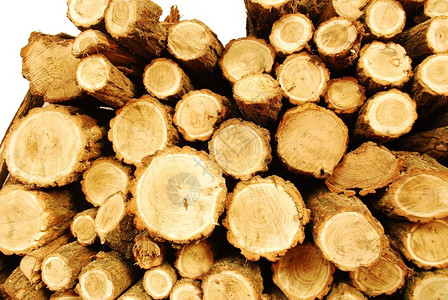 森林关闭等待冬季的柴堆火活力日志图片