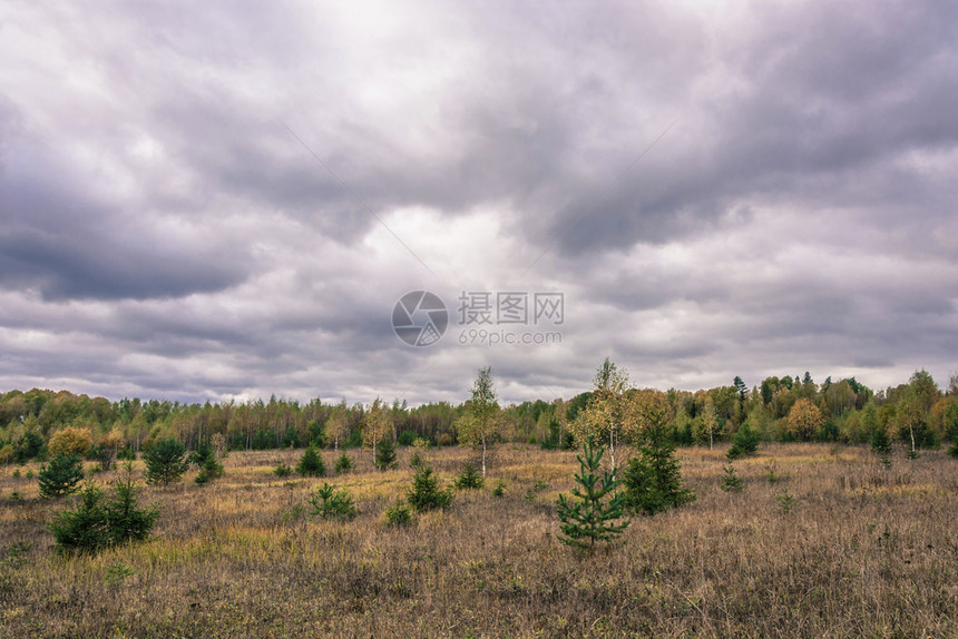 乌云下的荒草地图片