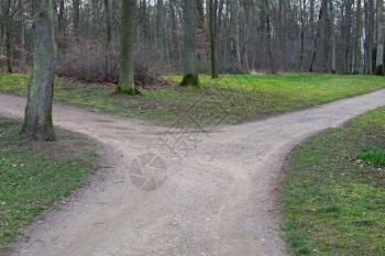 森林中道路的右叉或左方向象征一种图片