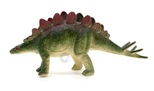 白色背景的恐龙玩具模型白色的图片