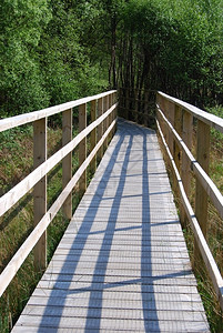木头立交桥消失在森林中的木脚桥进入背景图片