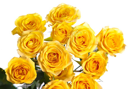 白色的新鲜美丽黄玫瑰花束美丽孤立在白色背景上颜图片