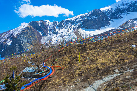 山顶的草原和雪山图片