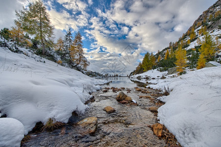 冬季的小溪岸边图片
