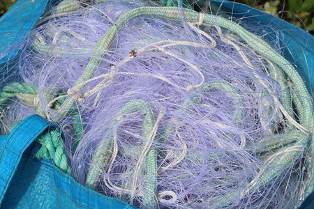 一种渔夫布列塔尼在去钓鱼之前花园的一个袋子里装着蓝渔网的鱼图片