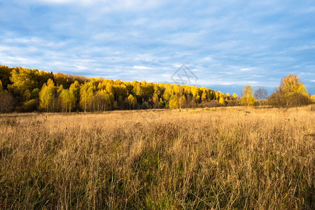 秋天的草地荒原图片