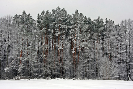 冬日雪景风光图片